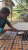 Jaggery Cube process.mp4